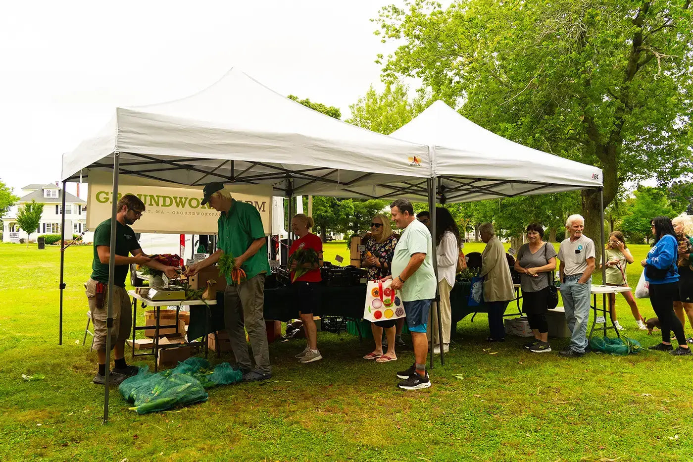 people gathered under white tent at outdoor market