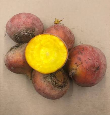 Beets, Golden