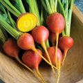 Beets, Golden with Tops