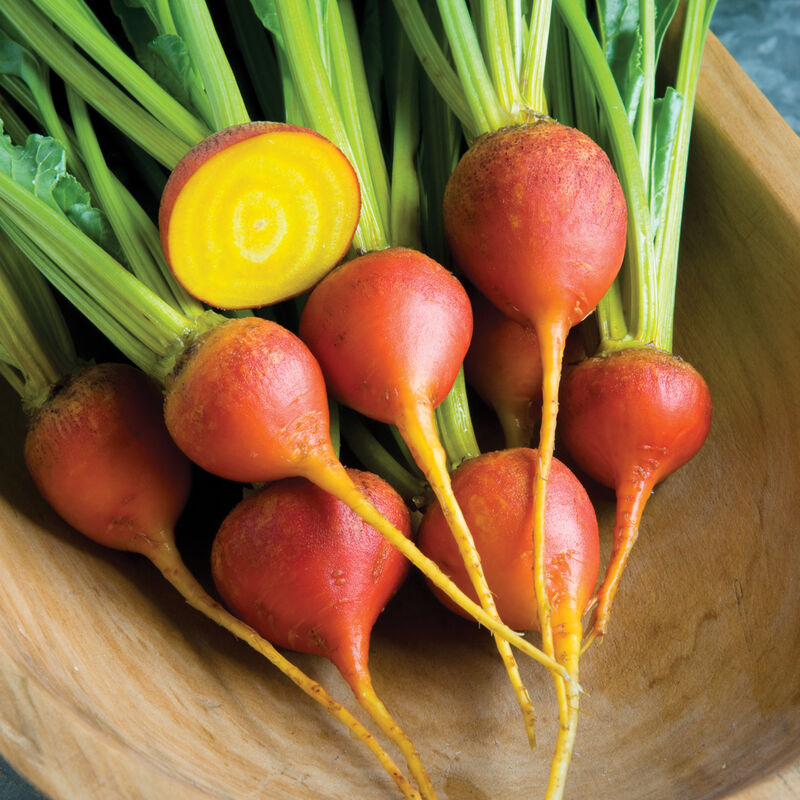 Beets, Golden with Tops
