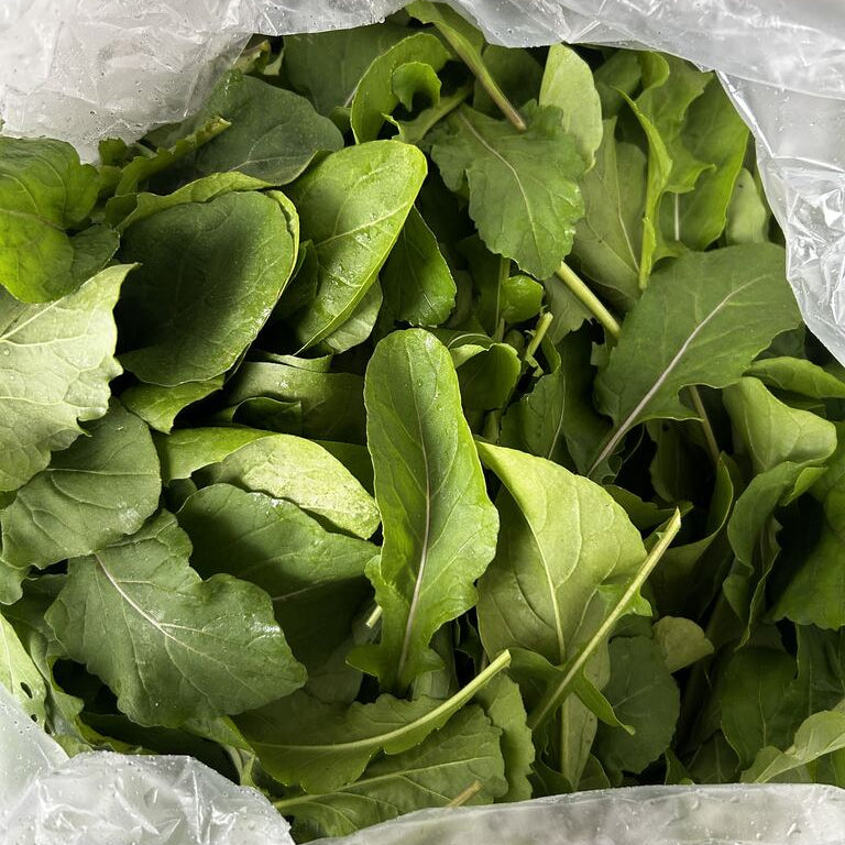 Arugula