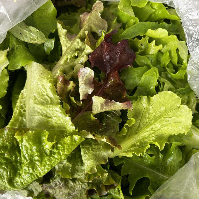 Lettuce Mix
