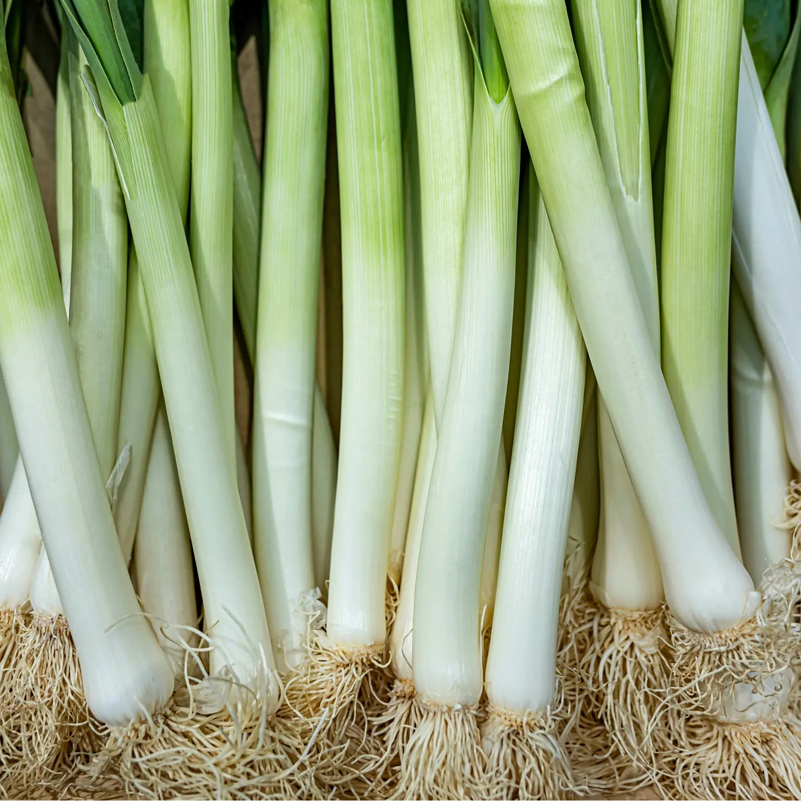 Leeks