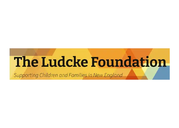 Logo of The Ludcke Foundation with a colorful geometric design on a white background