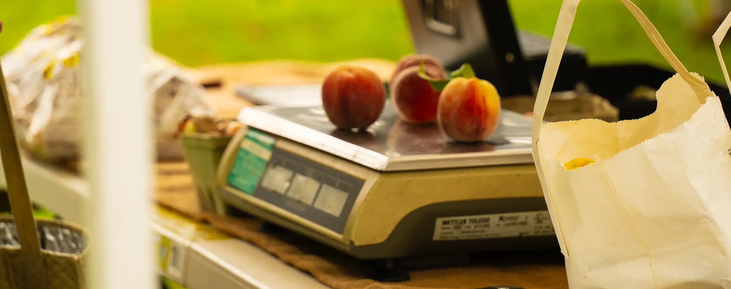 peaches from Coastal Foodshed weighed on a digital scale outside