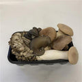 Chef Mix Mushrooms