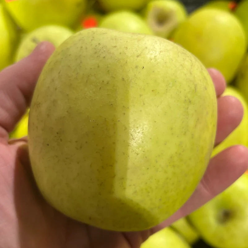 Apples, Mutsu