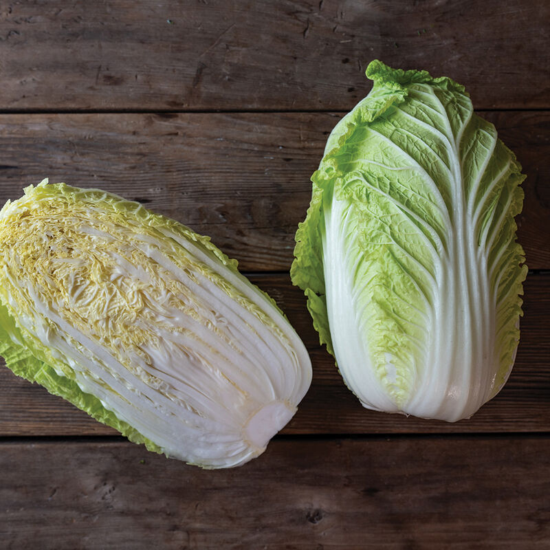 Napa Cabbage