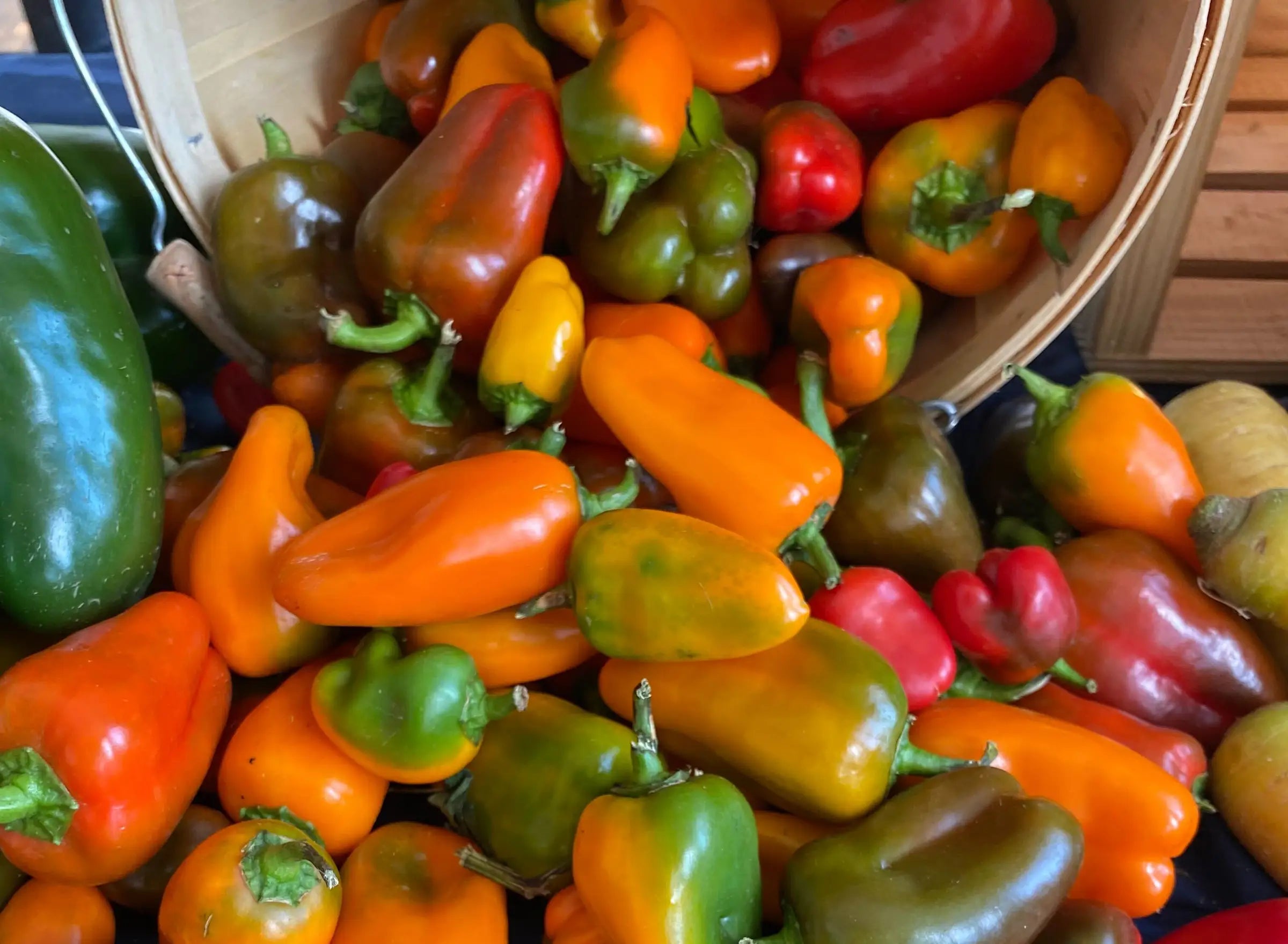 assorted colorful bell peppers in wooden basket at Coastal Foodshed