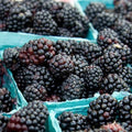 Blackberries