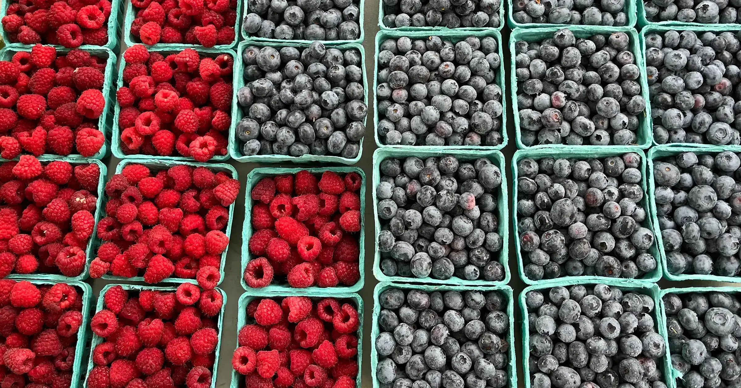 fresh raspberry & blueberry pints at Coastal Foodshed