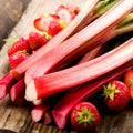 Rhubarb
