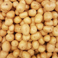 Yellow Potatoes, 5 pound Bag