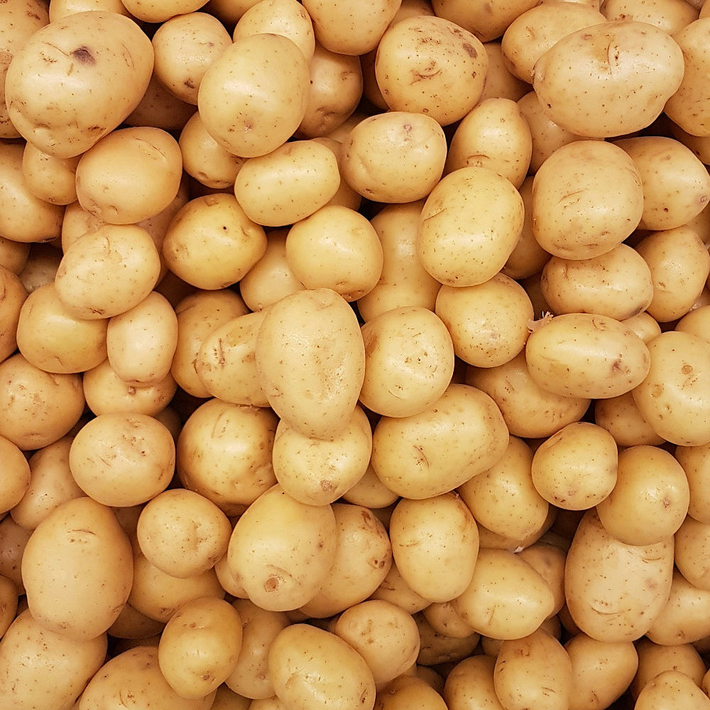 Yellow Potatoes, 5 pound Bag