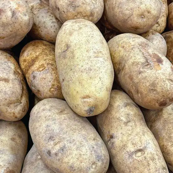 Potatoes Russet, 5 pound Bag