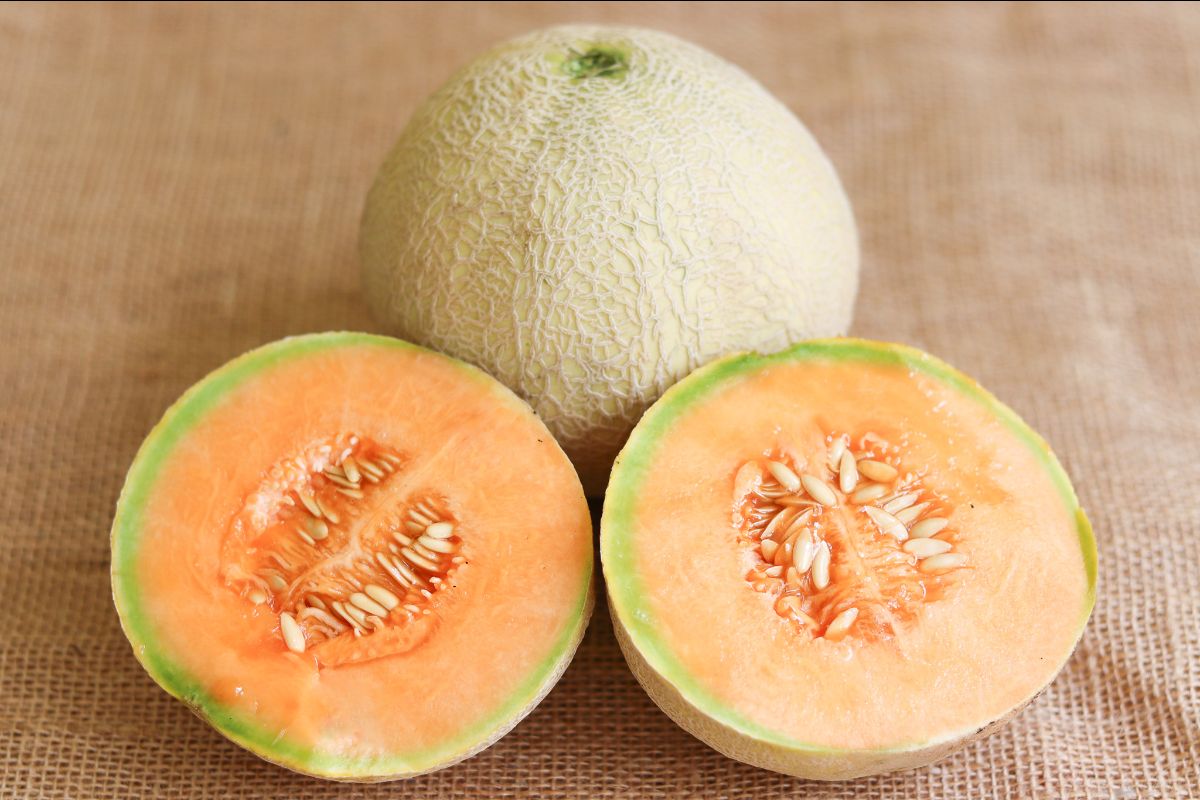 Sugar Cube Cantaloupe