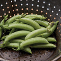 Peas, Sugar Snap