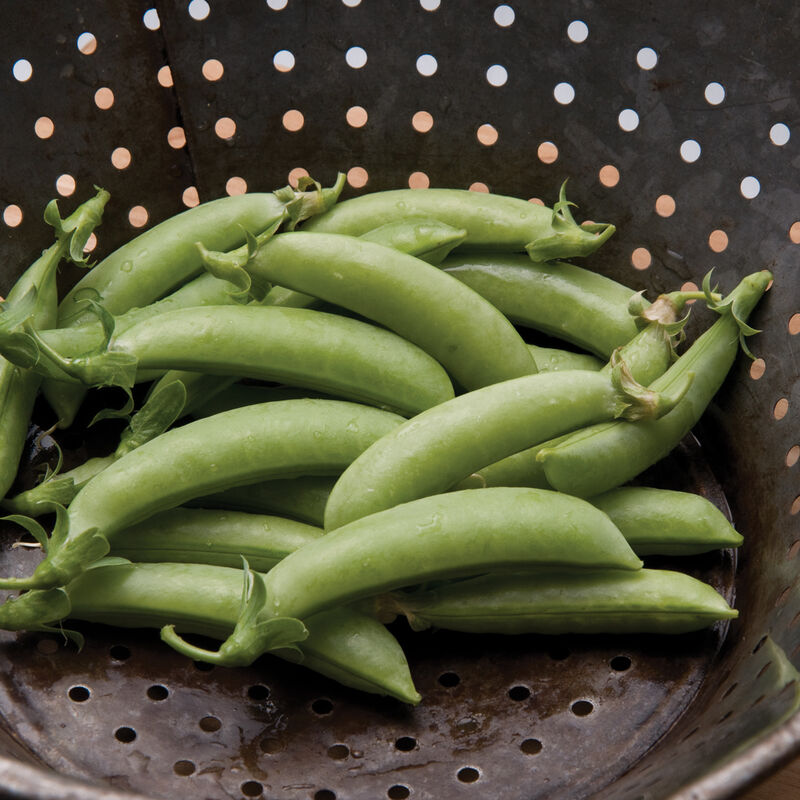 Peas, Sugar Snap