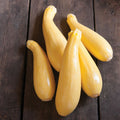 Summer Squash
