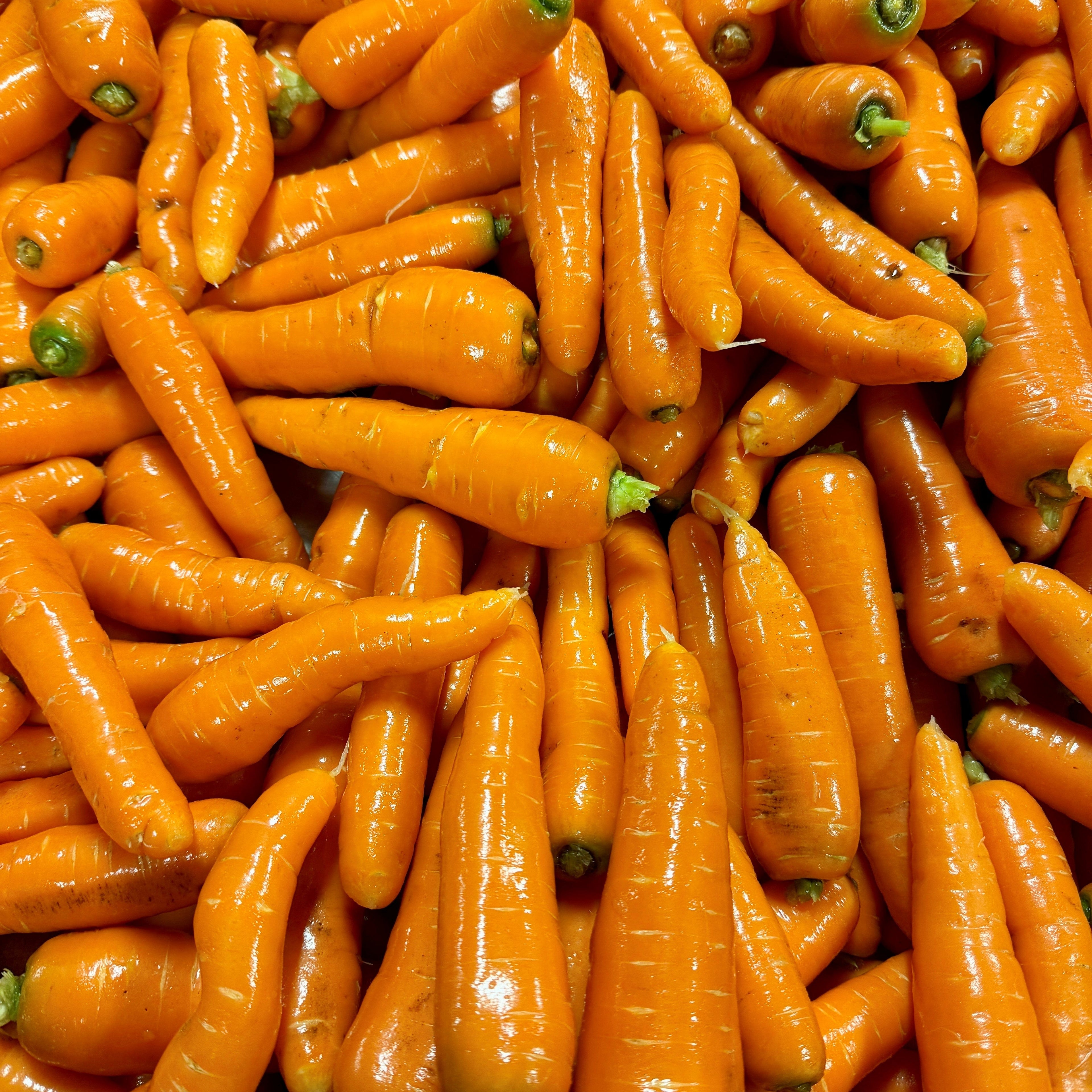 Orange Carrots