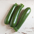 Zucchini